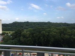 Flo Residence (D19), Condominium #170010432